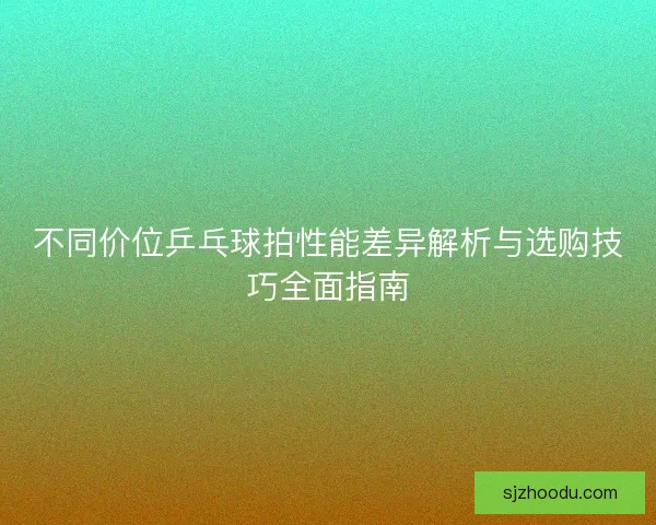 不同价位乒乓球拍性能差异解析与选购技巧全面指南