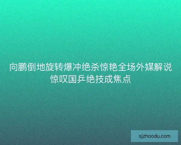 向鹏倒地旋转爆冲绝杀惊艳全场外媒解说惊叹国乒绝技成焦点
