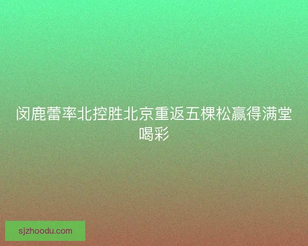 闵鹿蕾率北控胜北京重返五棵松赢得满堂喝彩